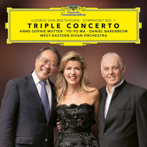 David Zinman - Beethoven: triple concerto (LP) - Velvet Music
