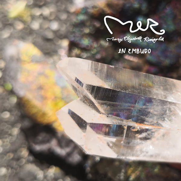 Mary Elizabeth Remington - In embudo (LP)