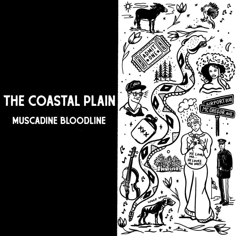 Muscadine Bloodline - The coastal plain (LP)