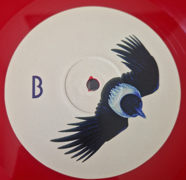 Mdou Moctar - Funeral For Justice (LP) - Velvet Music