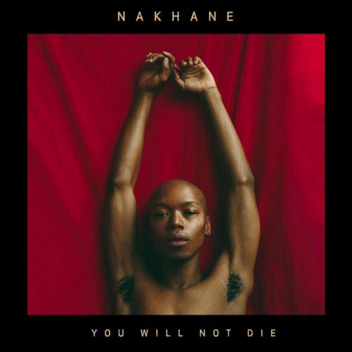 Nakhane - You will not die (LP)