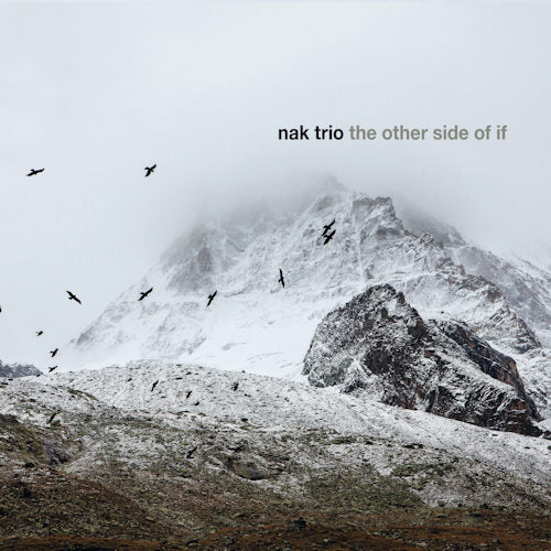 Nak Trio - Other side of if (CD) - Velvet Music