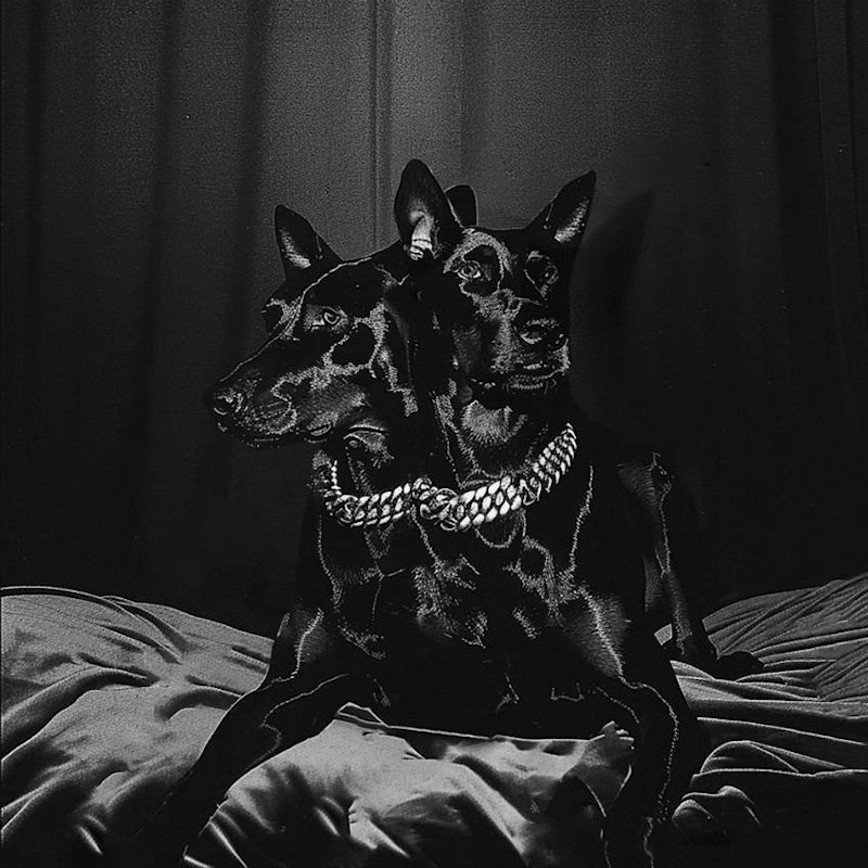 NTO & Sofiane Pamart - Forever friends (LP) - Velvet Music