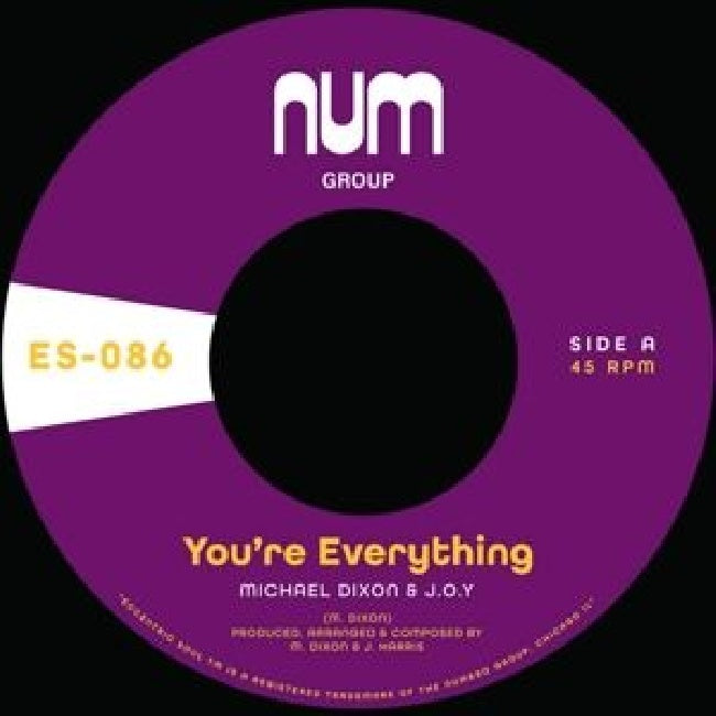 Michael A. Dixon & J.o.y. - You're everything (12-inch maxi-single) - Velvet Music