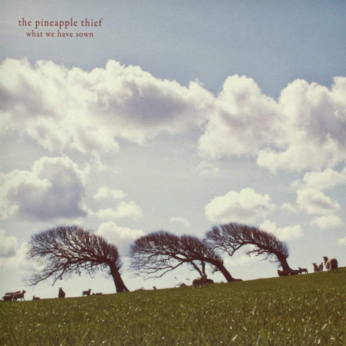 Pineapple Thief - What we have sown (CD) - Velvet Music