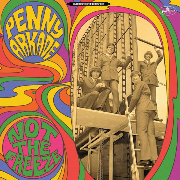 Penny Arkade - Not the freeze (LP)