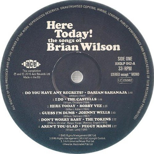 Brian Wilson - Here Today! (The Songs of Brian Wilson) (LP) - Velvet Music