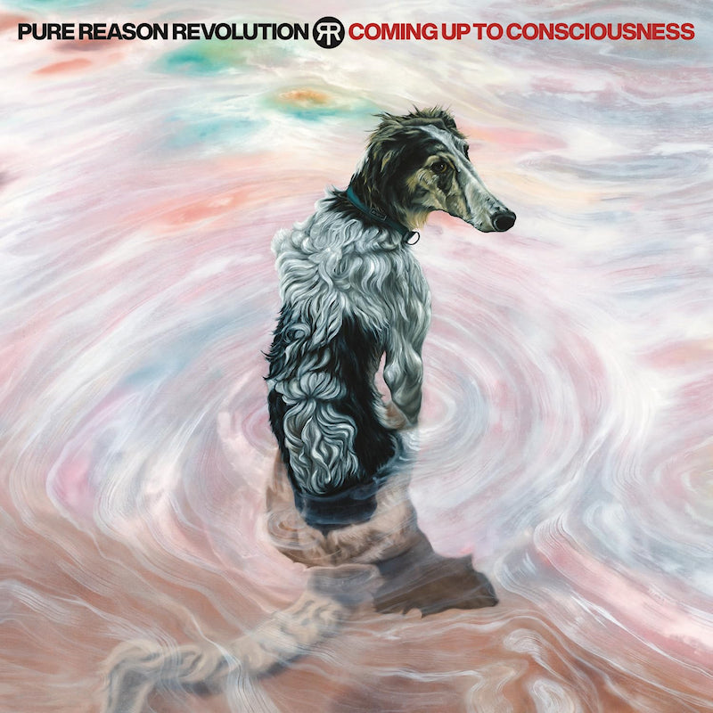 Pure Reason Revolution - Coming up to consciousness (LP)