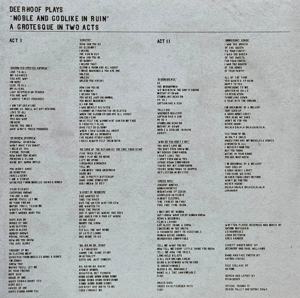 Deerhoof - Noble And Godlike In Ruin (LP) - Velvet Music