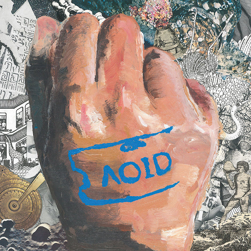The Ratboys - Aoid (LP)