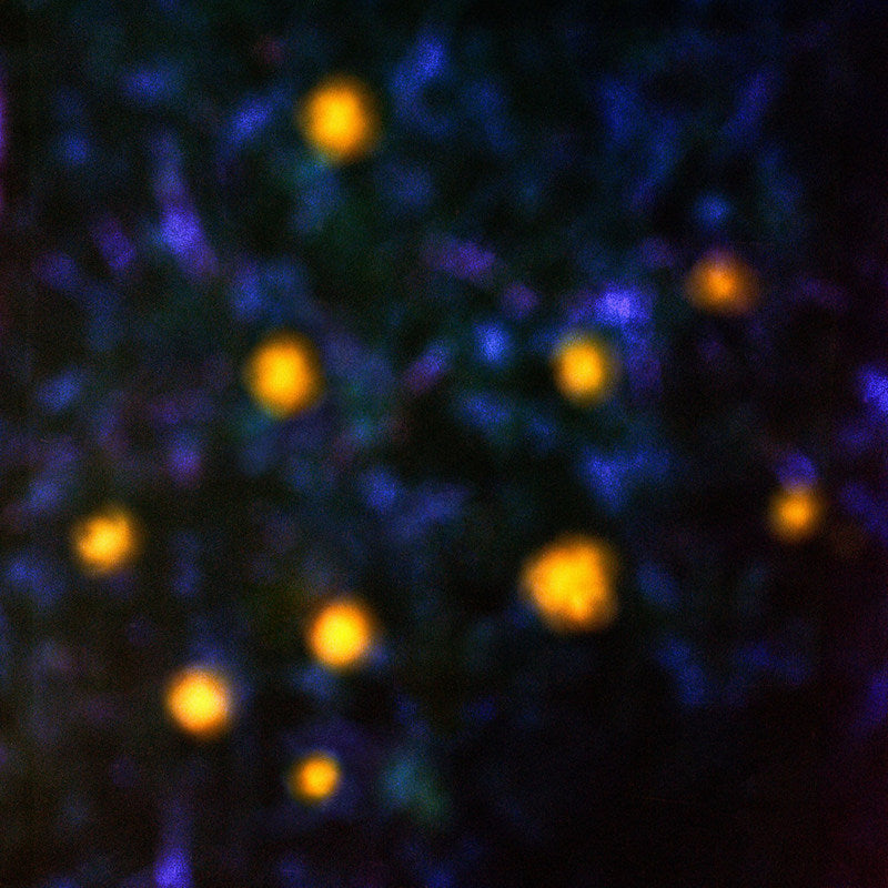 Recondite - Daemmerlicht (LP)