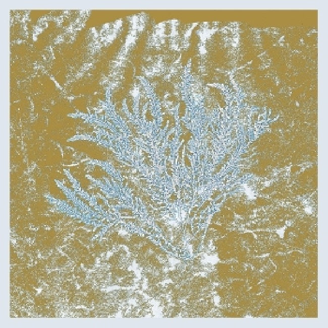 Huerco S. - For those of you who have never (and also those who have) (2025 repress) (LP)