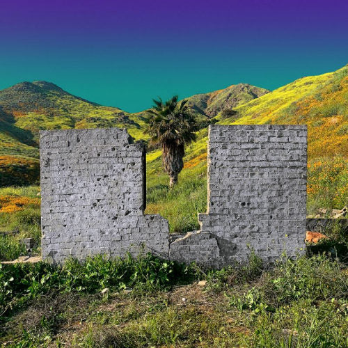 Shopping - All or nothing (LP)