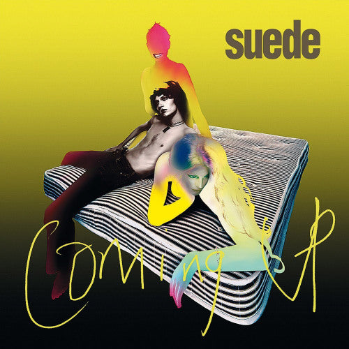 Suede - Coming up (LP) - Velvet Music