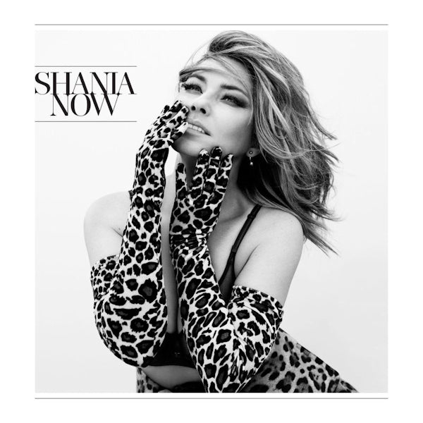 Shania Twain - Now (LP)