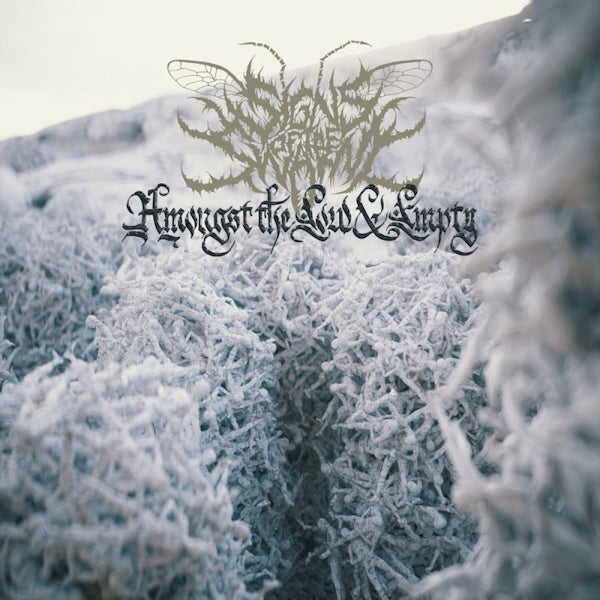 Signs Of The Swarm - Amongst the low & empty (LP)