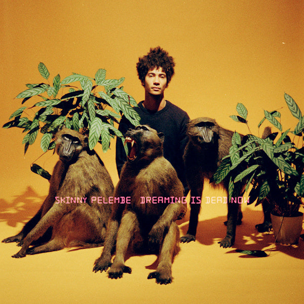 Skinny Pelembe - Dreaming is dead now (CD) - Velvet Music