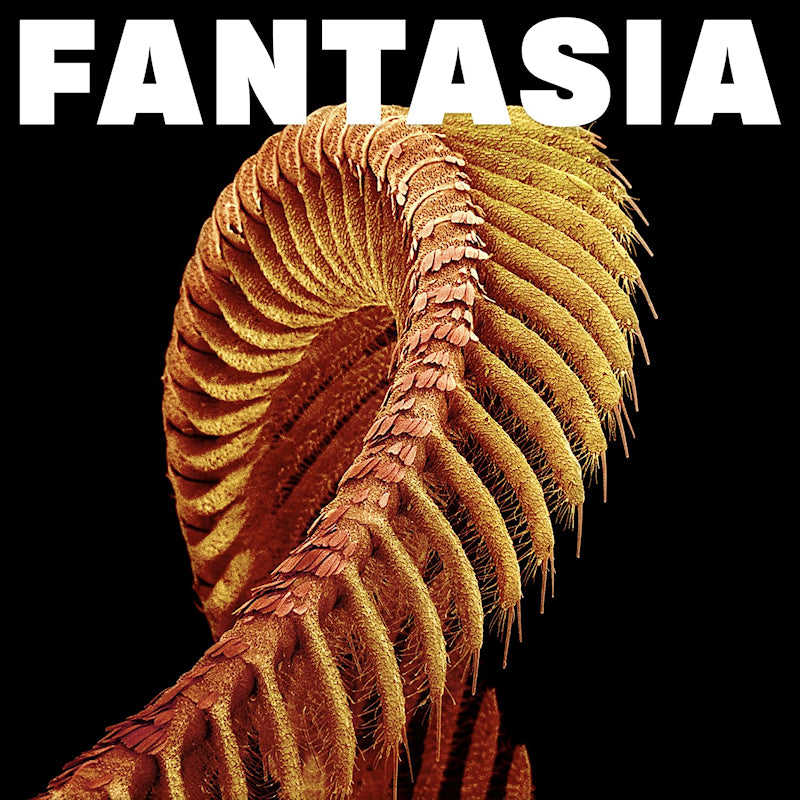 Slift - Fantasia (loser edition)(sparkle starlight) (LP)