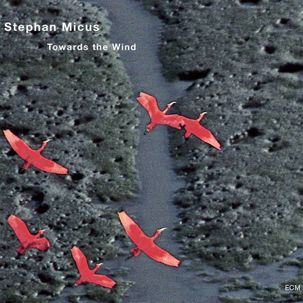 Stephan Micus - Towards the wind (CD) - Velvet Music