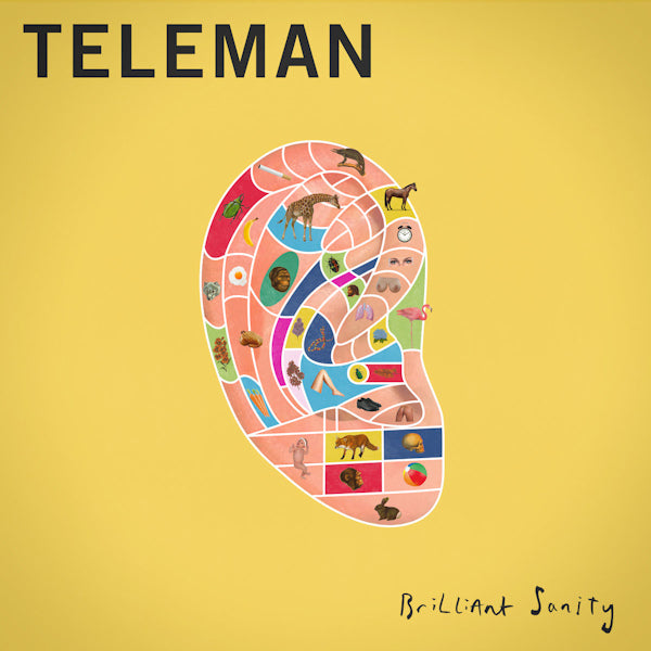 Teleman - Brilliant sanity (CD) - Velvet Music