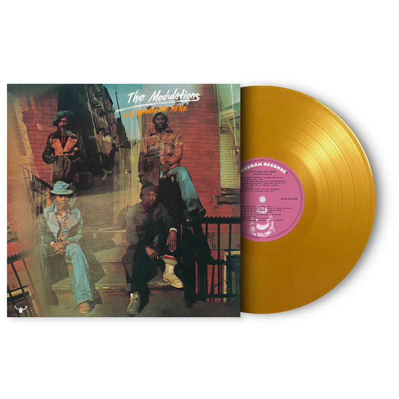 The Modulations - It's rough out here (LP)