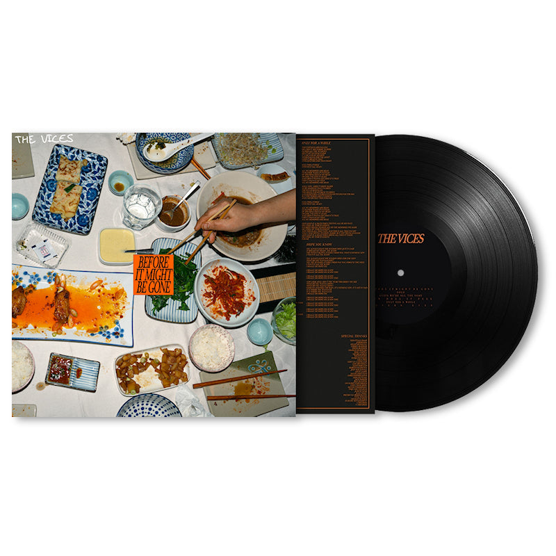 The Vices - Before it might be gone (LP)