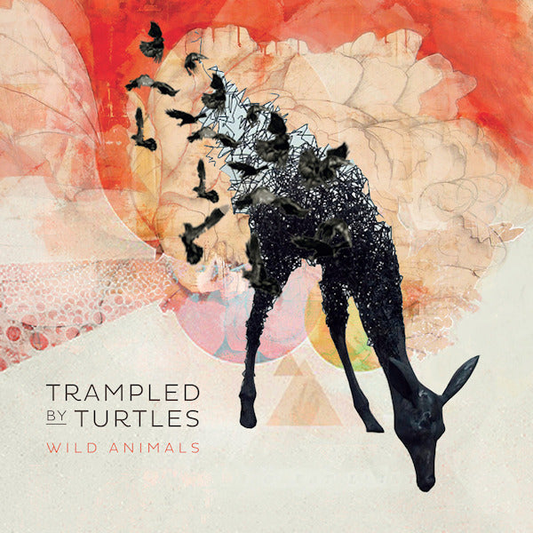 Trampled By Turtles - Wild animals (CD)