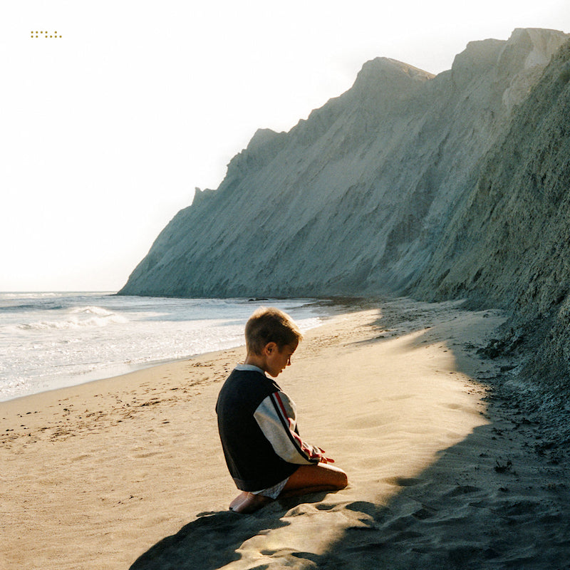 Tycho - Simulcast (LP) - Velvet Music