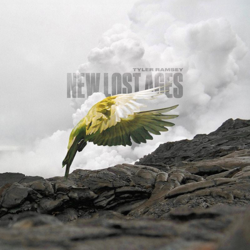 Tyler Ramsey - New lost ages (LP) - Velvet Music