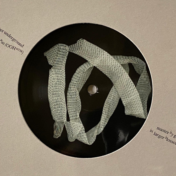 More Eaze, Pardo, Glass - Paris Paris, Texas Texas (LP) - Velvet Music