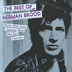 Herman Brood - The Best Of Herman Brood (tweedehands LP) - Velvet Music