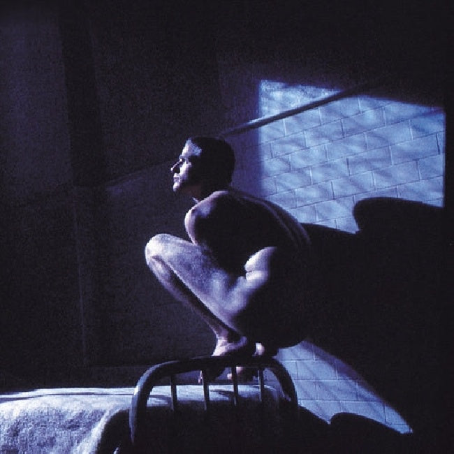 Peter Gabriel - Birdy (LP) - Velvet Music