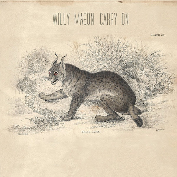 Willy Mason - Carry on (CD) - Velvet Music