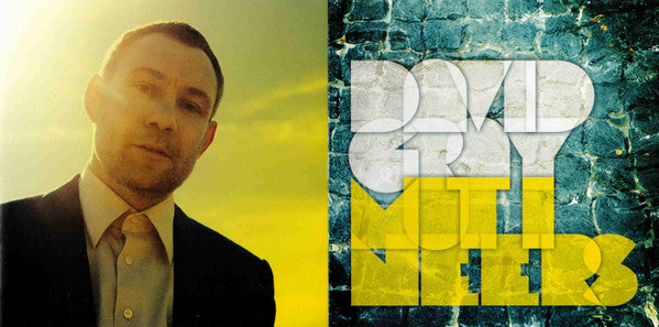 David Gray - Mutineers (tweedehands CD) - Velvet Music