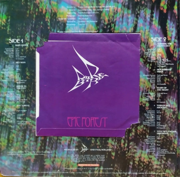 Rare Bird - Epic Forest (LP d'occasion)
