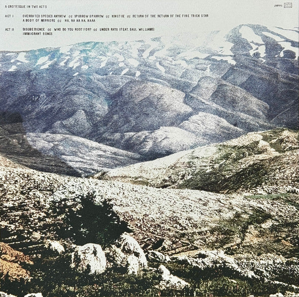 Deerhoof - Noble And Godlike In Ruin (LP) - Velvet Music