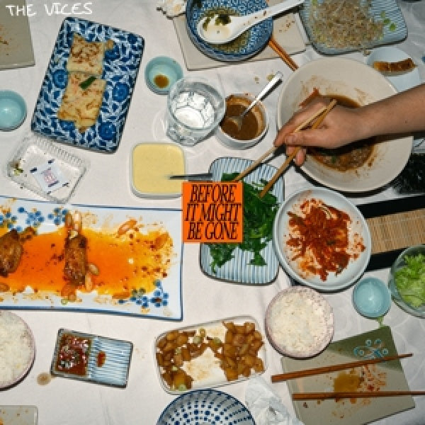 The Vices - Before it might be gone (LP)