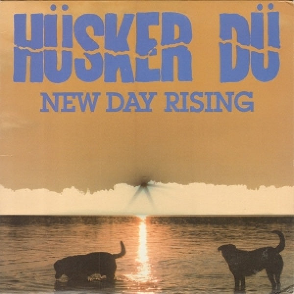 Husker Du - New day rising (CD)
