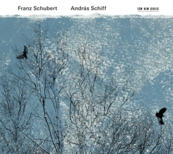 Andras Schiff - Schubert: fortepiano (CD)