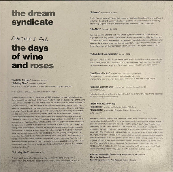 Dream Syndicate, The - Sketches For The Days Of Wine And Roses (LP)