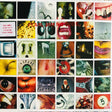 Pearl Jam - No code (LP) - Velvet Music