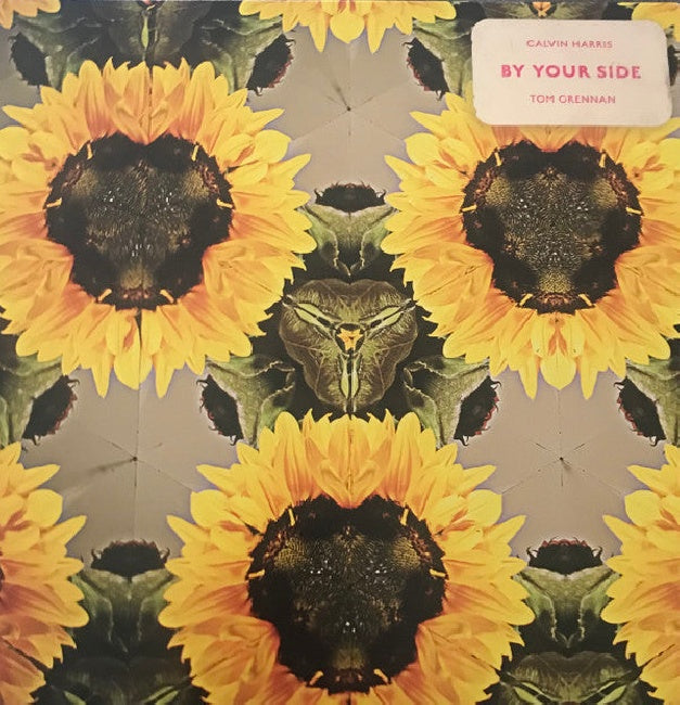Calvin Harris Feat. Tom Grenna - By your side (LP)