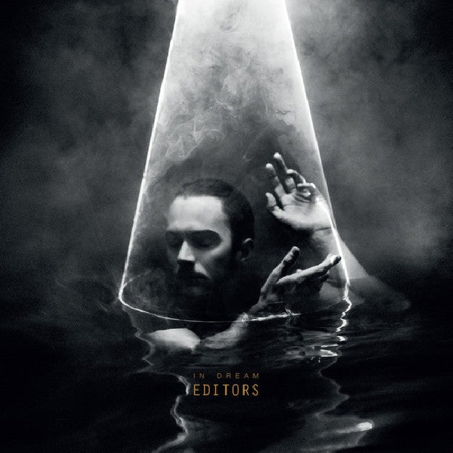Editors - In dream (LP) - Velvet Music