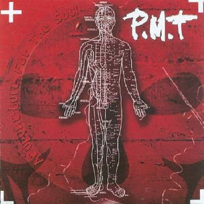 Pmt - Acupuncture for the soul (CD)