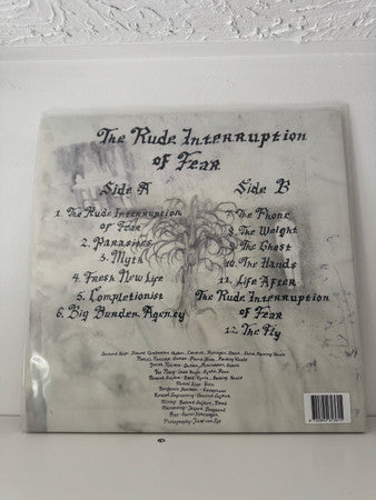 Bowl (4) - The Rude Interruption Of Fear (LP) - Velvet Music