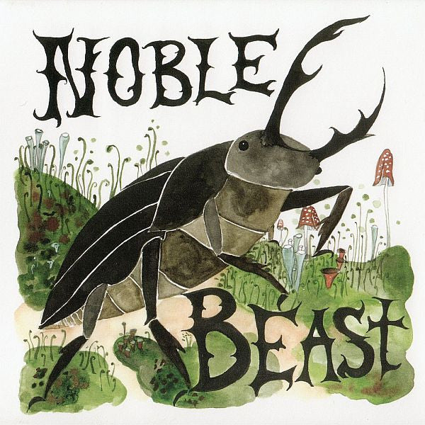 Andrew Bird - Noble Beast / Useless Creatures (tweedehands CD) - Velvet Music