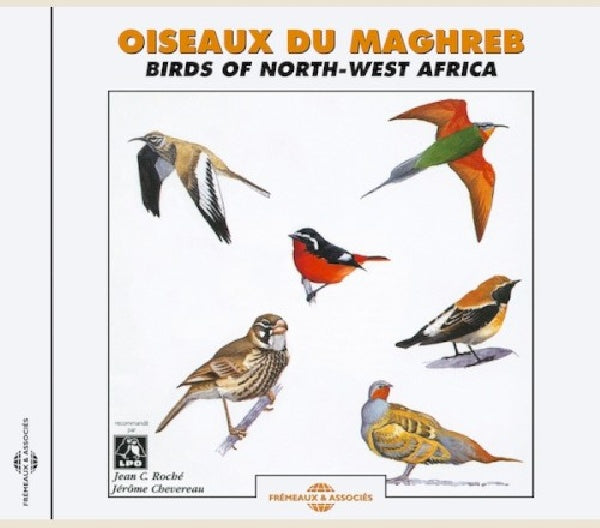 V/A (Various Artists) - Oiseaux du maghreb (CD)