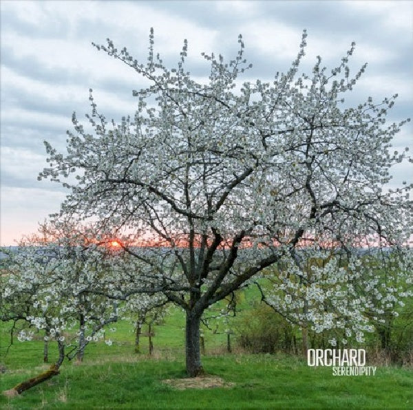 Orchard (aidan Baker, Gaspar Claus, Franck Laurino - Serendipity (CD) - Velvet Music