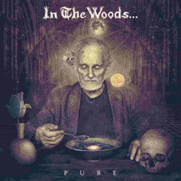 In The Woods - Pure (CD)