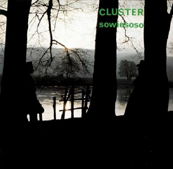 Cluster - Sowiesoso (LP) - Velvet Music